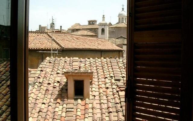 Best Comfort Reginella