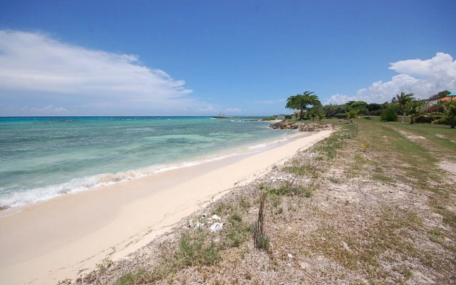 Mai Tai Villa, 4BR by Jamaican Treasures
