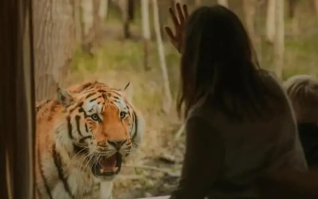 Knuthenborg Safaripark