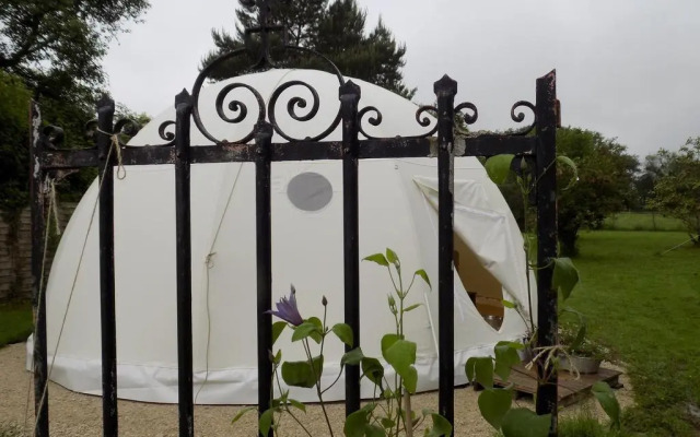 La chouette étoilée