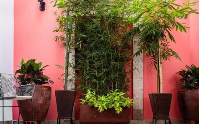 Hotel Nueve Agaves