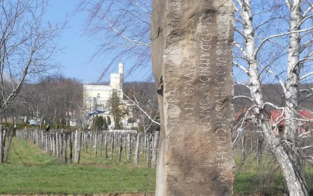 Sir David Balaton Castle