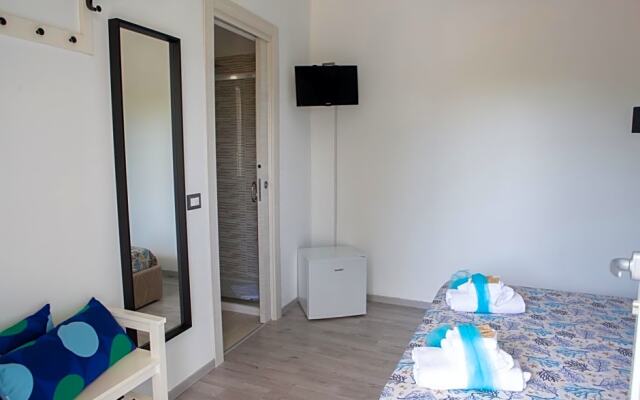 B&B Dionea