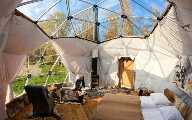 Wild Caribou Dome