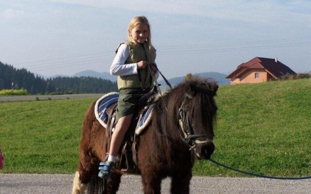 Ferienwohnung Hinterdorfer