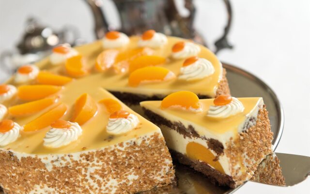 aja Bergresort Werfenweng