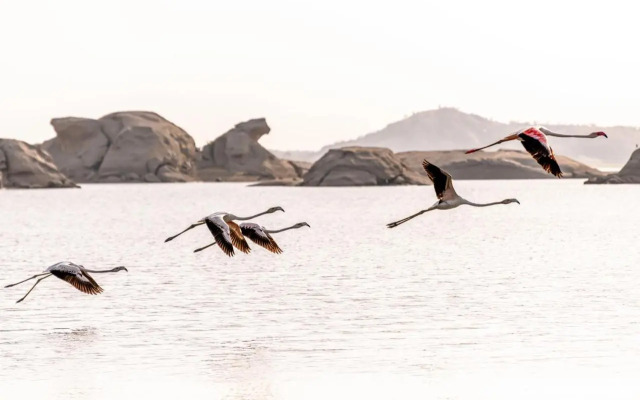 Lords Eco Inn Jawai-Sumerpur