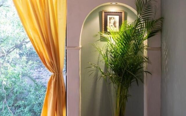 Casa Lulú Coyoacán