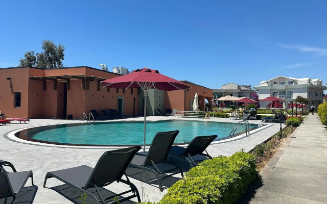 Daphne Apartments C Blok