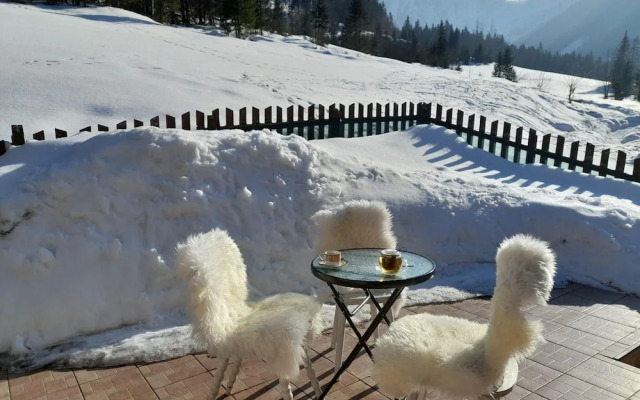 Secluded Apartment in Ferlach near Bodental Ski Lift