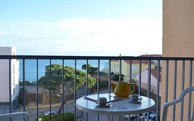 Appartement Banyuls-sur-Mer, 2 pièces, 4 personnes - FR-1-225C-534