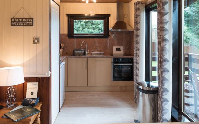 Birch Lodge 23 With Hot Tub, Newton Stewart