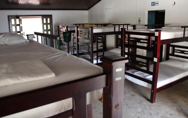 Drop Bear Hostel
