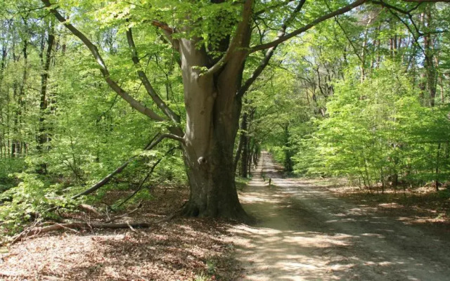Stadshotel Ootmarsum