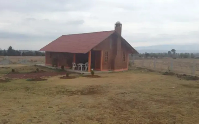 Cabañas las Palmeras