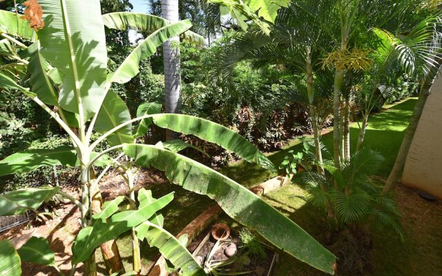 Spinnaker 216c 2 Bedroom Condo