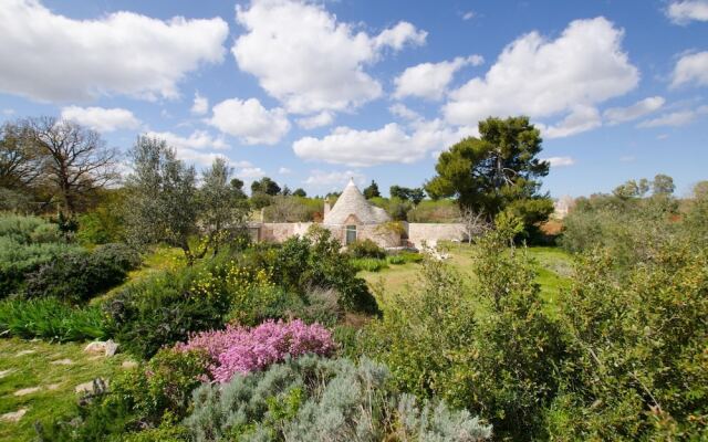 Cis002 in Cisternino