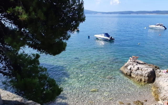 Apartment Ivy - 300 m from beach: A1 Selce, Riviera Crikvenica