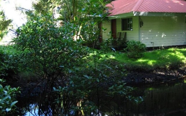 Pacific Treelodge Resort