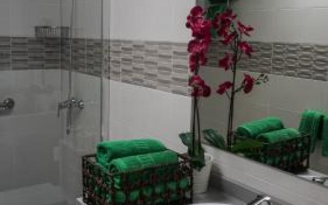 Apartment Old Town Reina Sofia 3