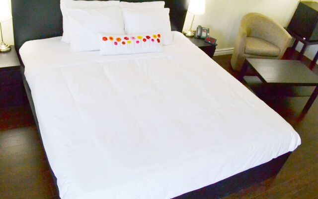 Vow Motel Listowel On