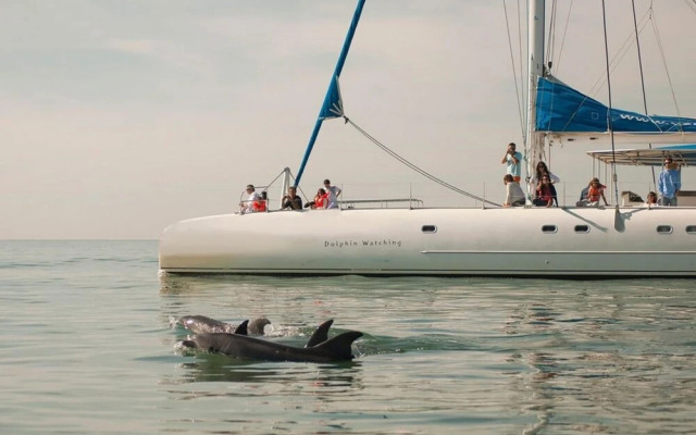 Villa Comporta III AL