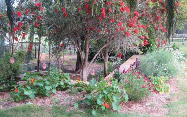 Bentwood Olive Grove Accommodation