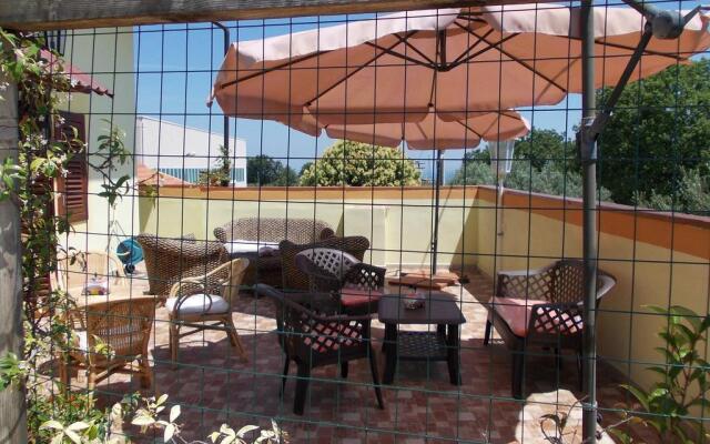 Il Ritrovo Delle Coccinelle