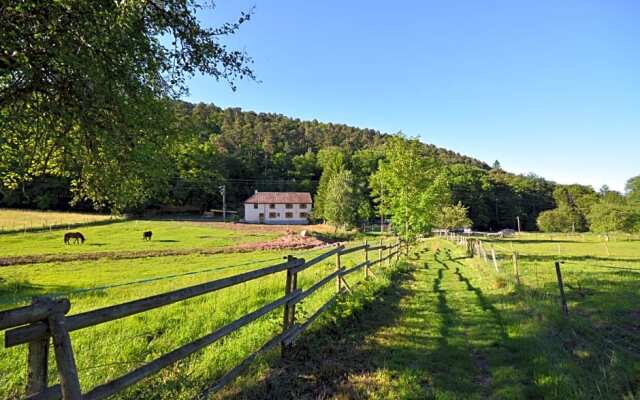Roulottes Django et Bella