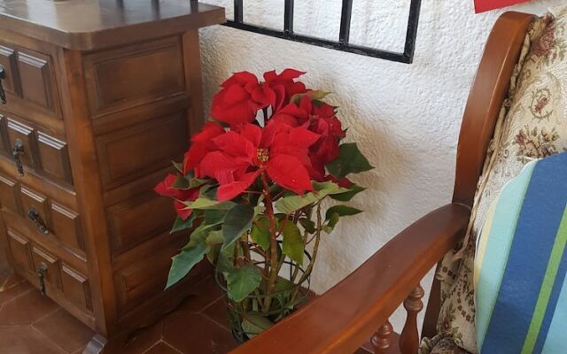 Villa Maria Bonita