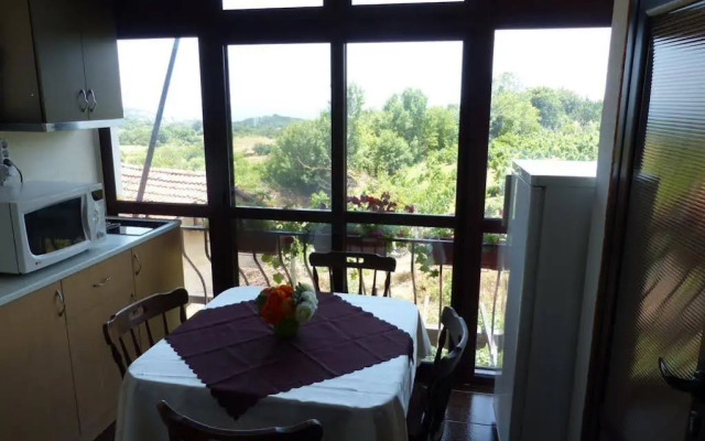Guest House Delphini