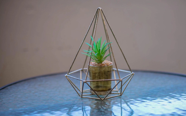 Urban Oasis Apartments at the City Center