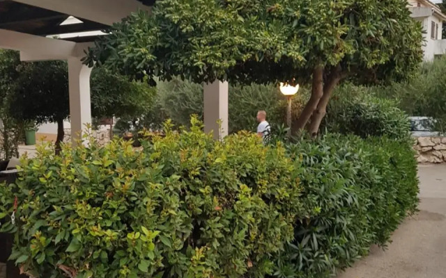 Apartments and Rooms Vesna Novalja