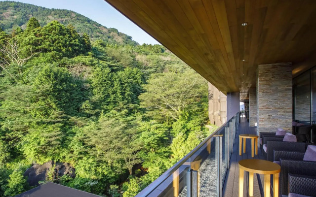 Hakone Kowakien Ten-Yu Hotel