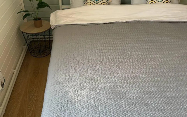 Экко-дом у леса