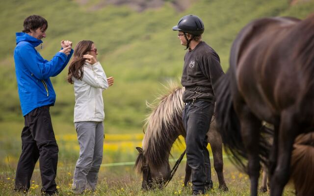Farmhotel Efstidalur