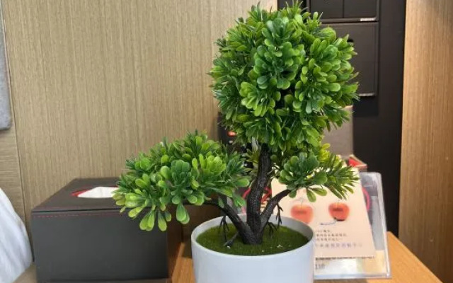 Shankee Hotel (Yuhuan Impression Plaza)