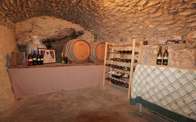 Geraneo among vineyard