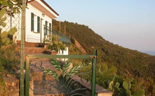 La Volpe e lUva Mare