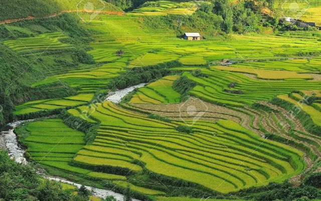 Canary Hotel Sapa
