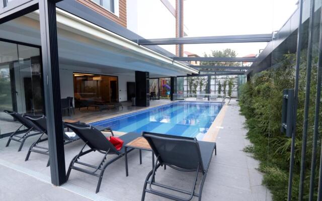 Best Home 26 Cleopatra Legacy No 8