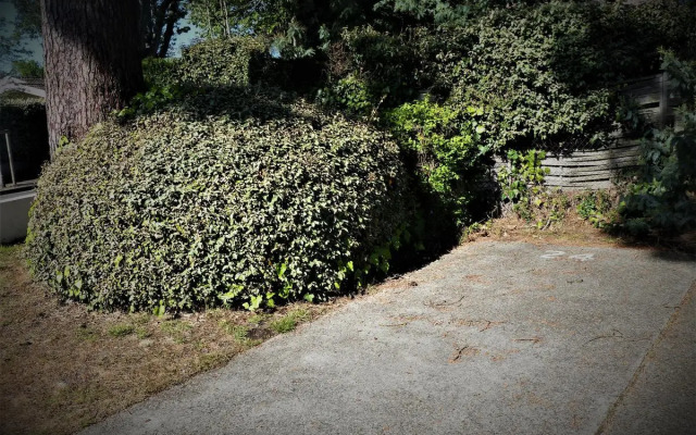 Résidence Rose Mousse