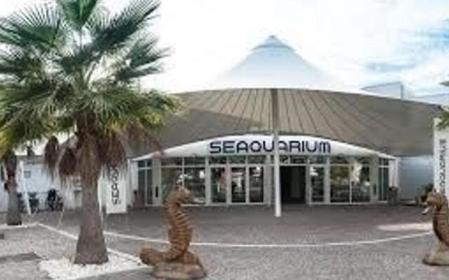 Appartement Le Grau-du-Roi, 1 pièce, 4 personnes - FR-1-307-55