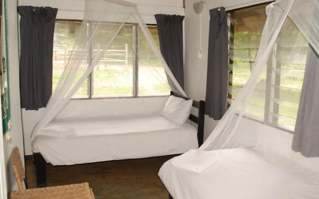 Wildebees Ecolodge