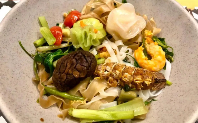 Urban Lodge Hotel - Hostel