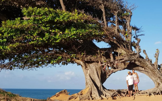 Chalés Paraíso de Maracajaú 1