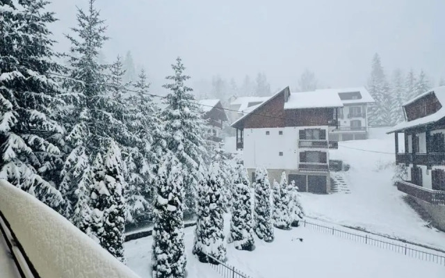 TreeZ Hostel