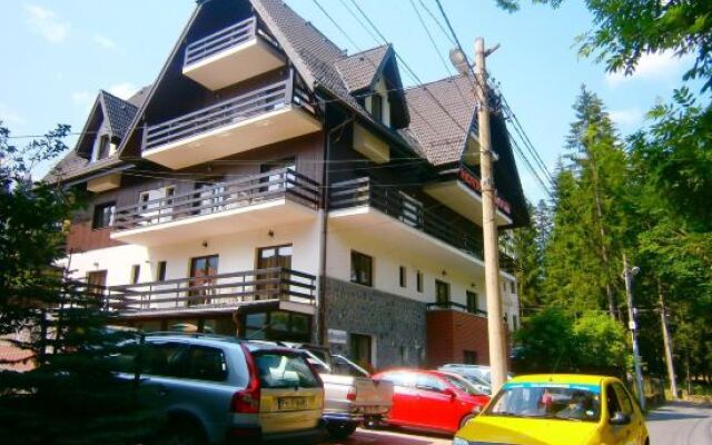 Hotel Silvia Apart Sinaia