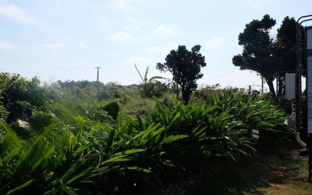 Natural farm ZAMPA