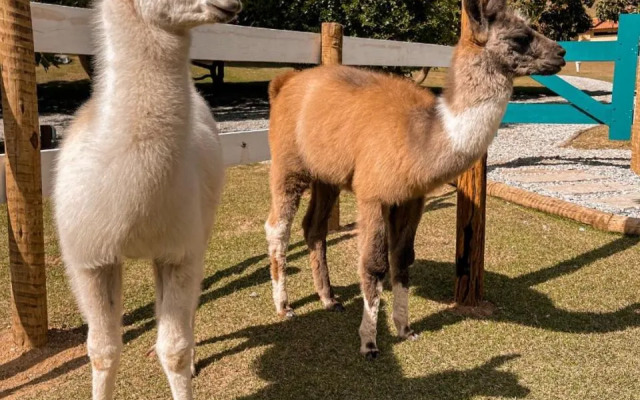 Pousada Minha Glória